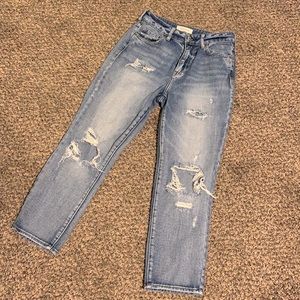 PacSun Distressed Mom Jean 25